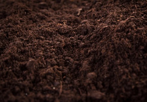 top soil delivery service